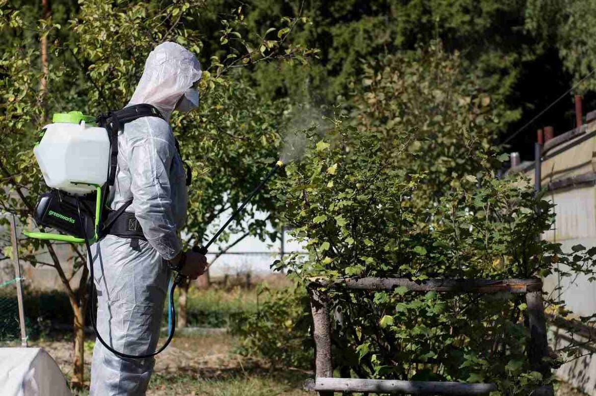 как выбрать аккумуляторный садовый опрыскиватель